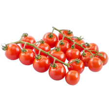 Noordertrots tros cherry tomaatjes